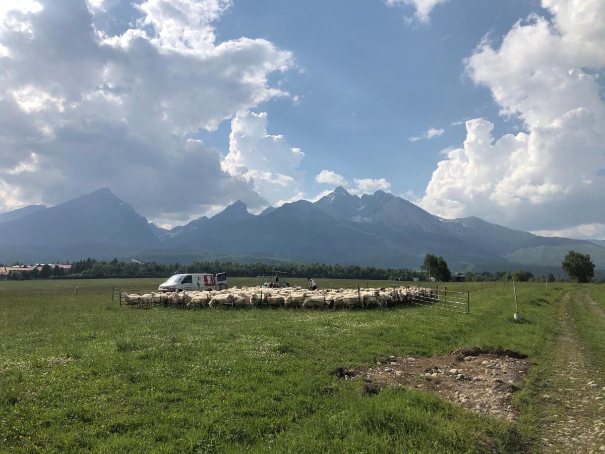 Penzion Bado Stara Lesna Exterior foto