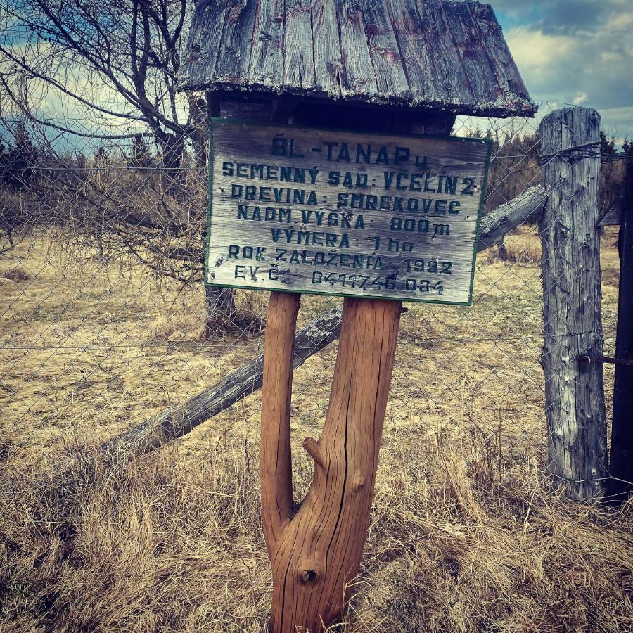 Penzion Bado Stara Lesna Exterior foto