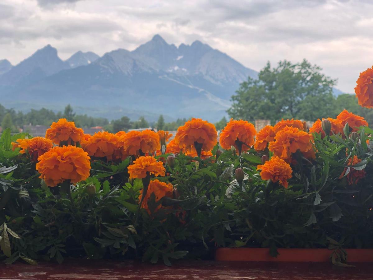 Penzion Bado Stara Lesna Exterior foto